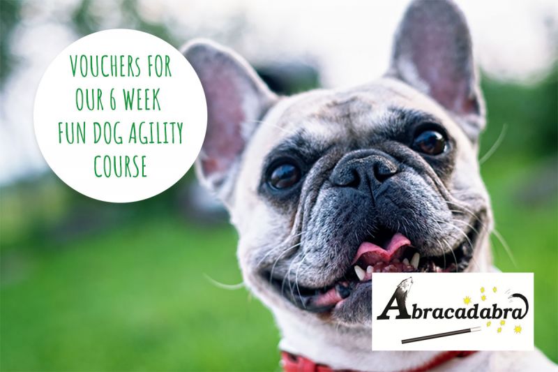 Dog Agility Course Voucher