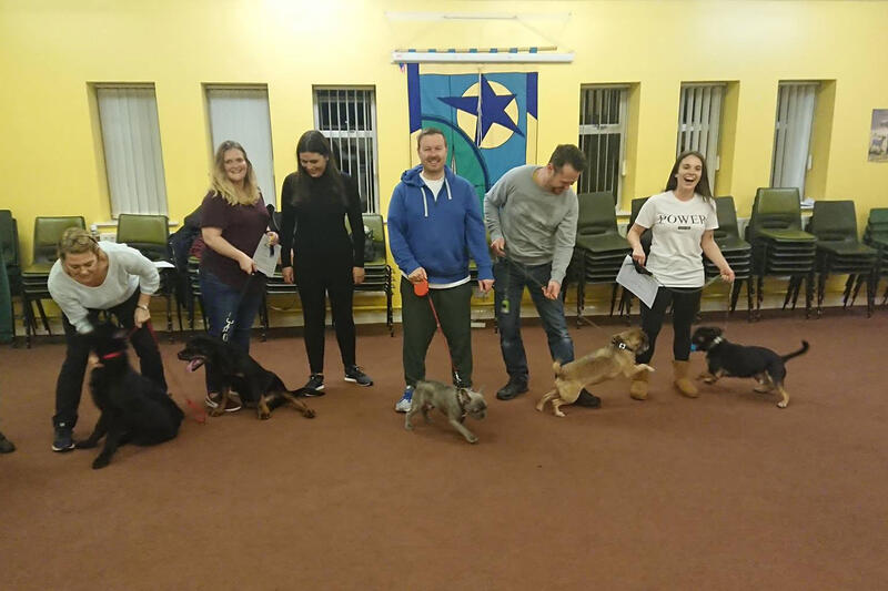 Dog Training
