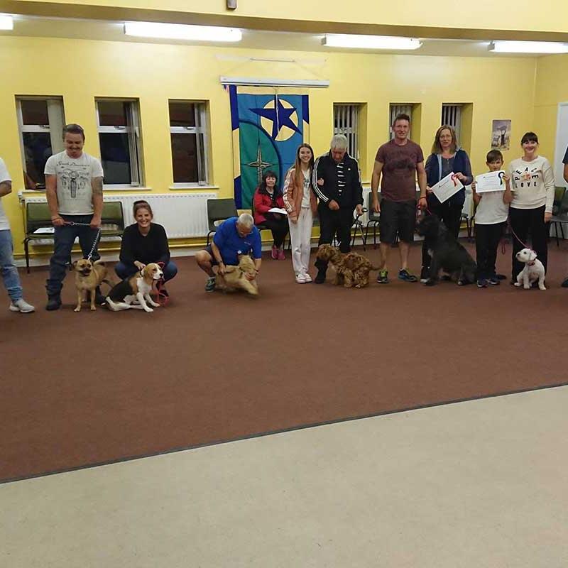 Six Week Dog Training Course in Sherwood
