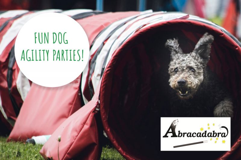 Dog Agility Parties