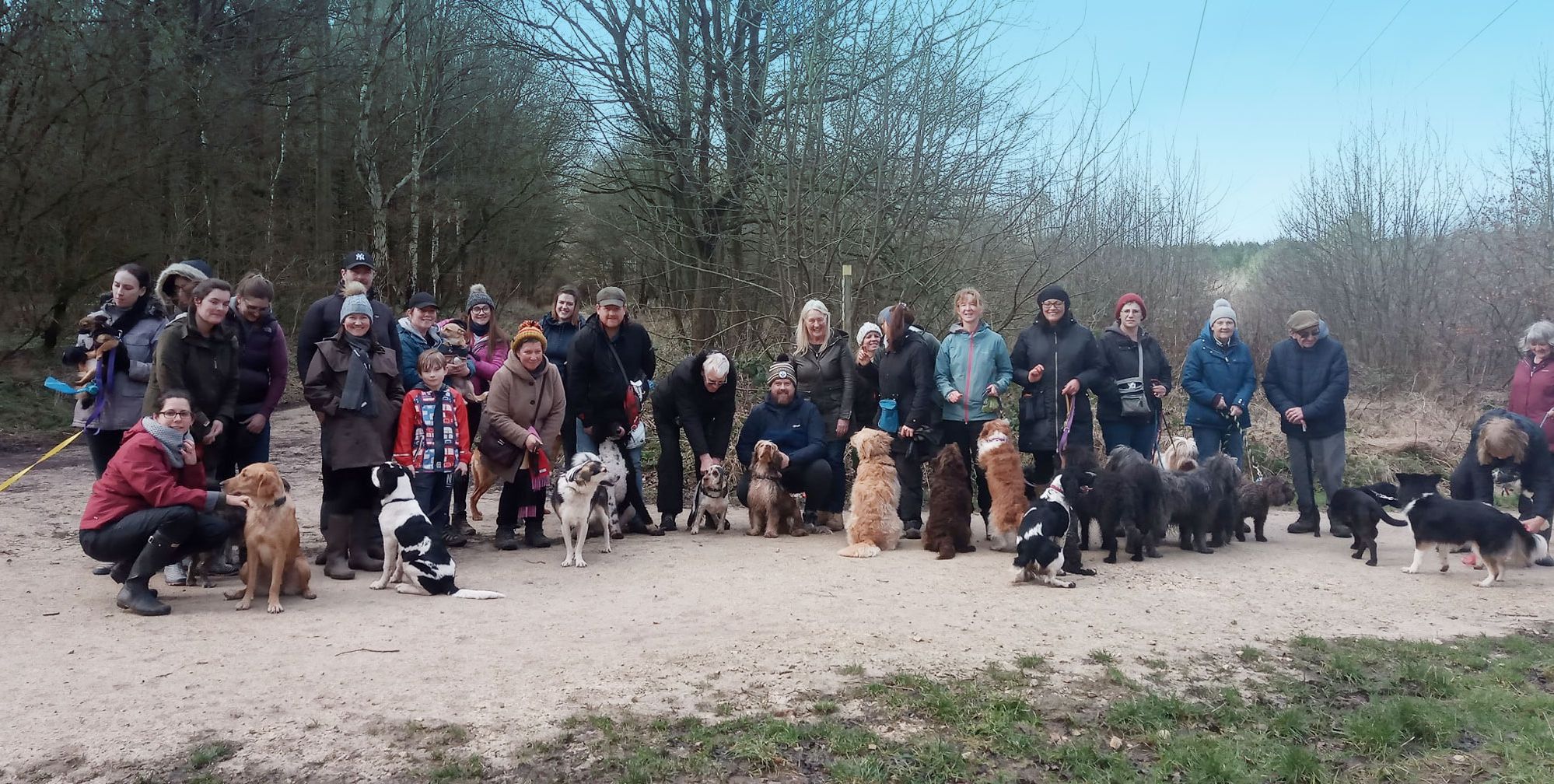 Dog Trainer and Behaviourist Abracadabra